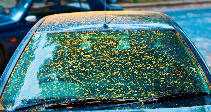 How do I get rid of pollen spots on my car?