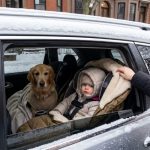 Child secured safely inside warm vehicle during Boston winter
